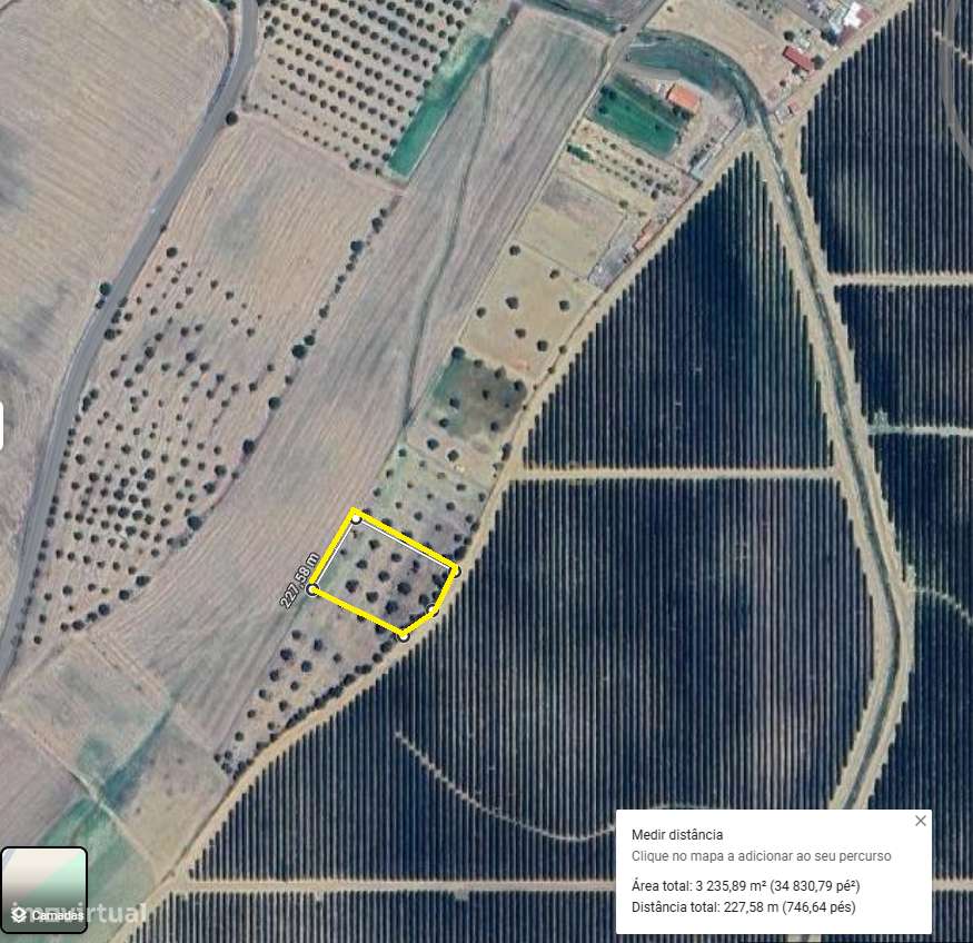 Terreno Rústico com Oliveiras com 3250 m2 Aljustrel-Rio de Moinhos Pr - Grande imagem: 4/14