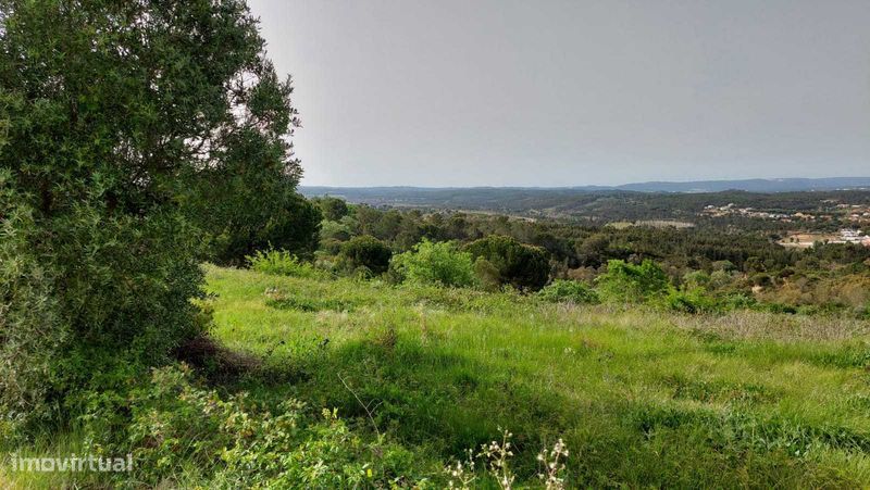 Centro da natureza 4 terrenos para venda  em Vidual de Cima