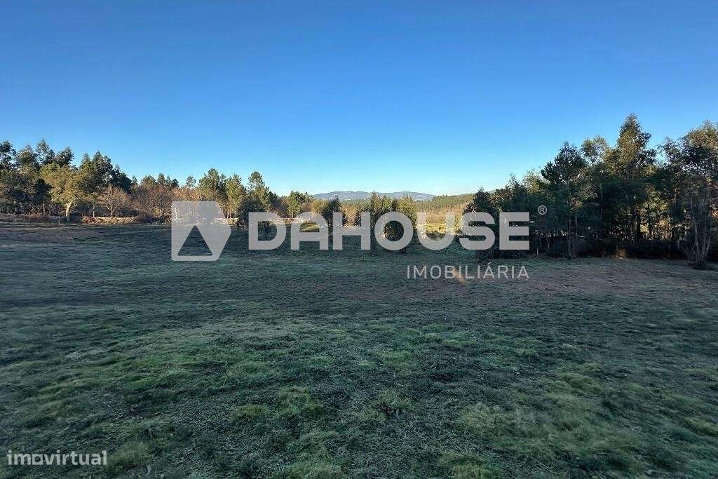 Terreno c/ 12.500 m2 em Sandiães, Ponte de Lima !! - Grande imagem: 4/27
