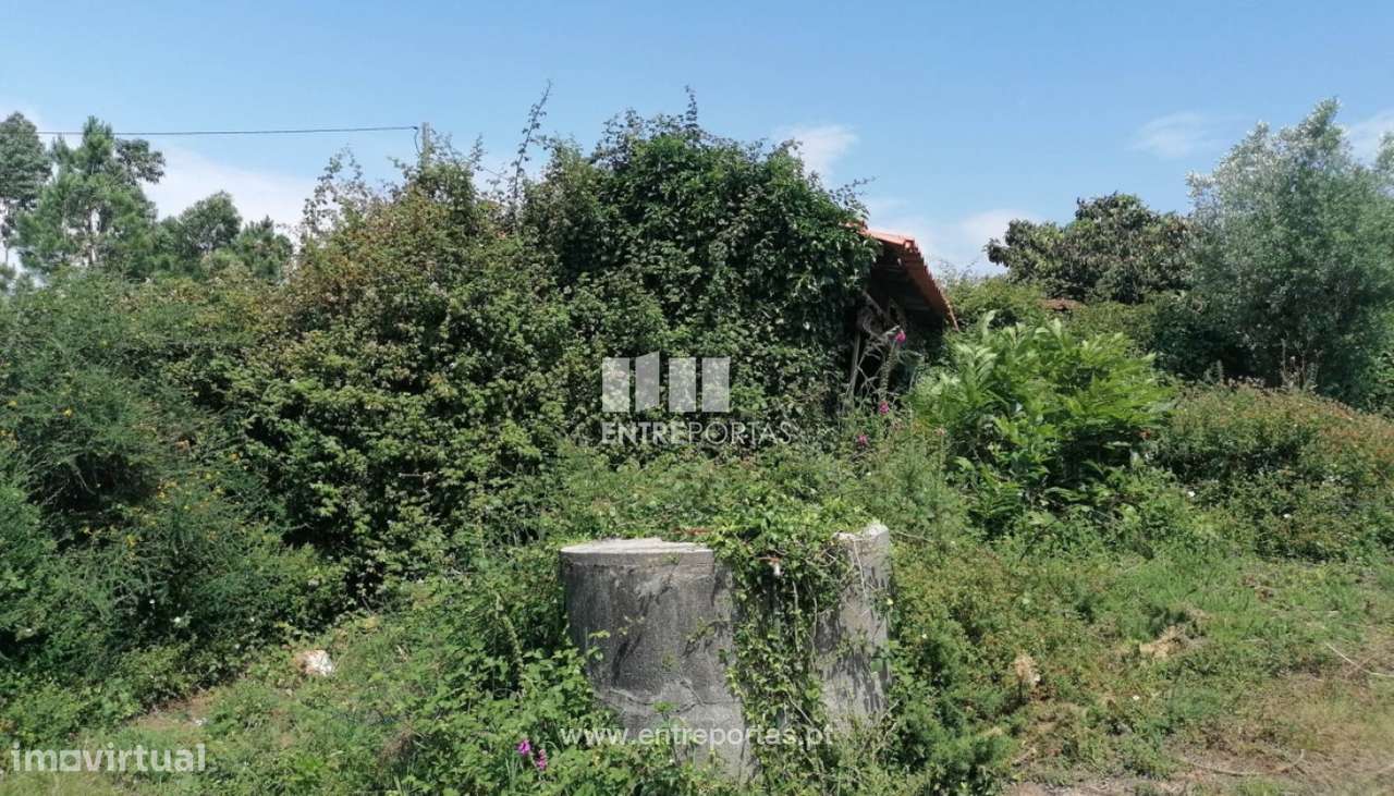 Venda de Terreno de construção, Mujães, Viana do Castelo. - Grande imagem: 2/32