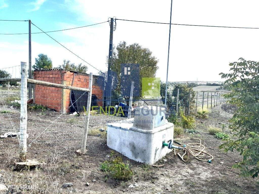 Terreno Rústico | Beringel | Beja - Grande imagem: 2/16