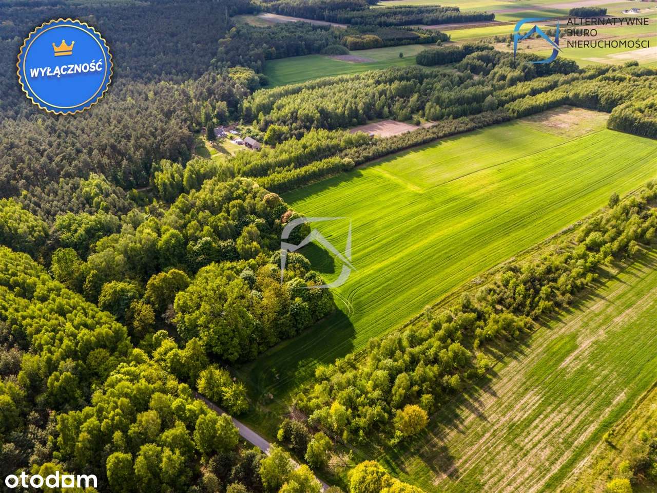Działki budowlane w leśnej okolicy- Tarło - Pełny obrazek: 4/14