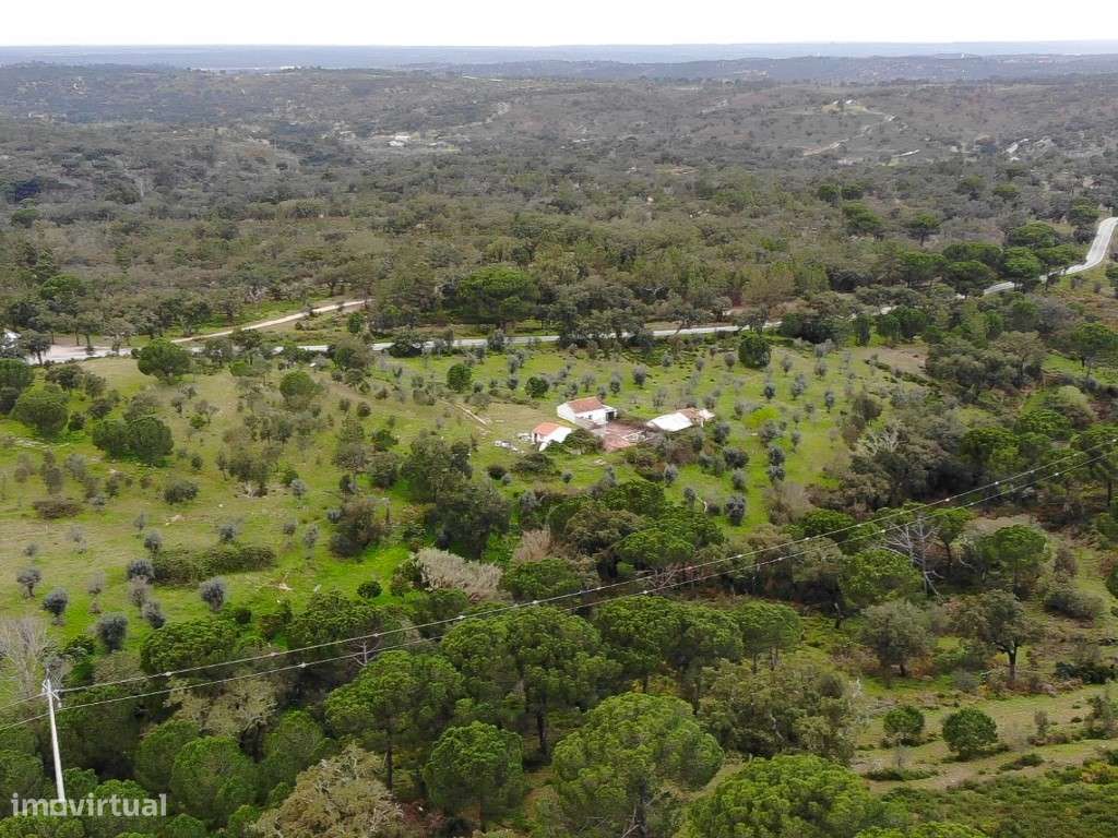 QUINTA COM 5HA DE TERRENO COM 500M2 URBANO - GALVEIAS - PONTE DE SOR-27