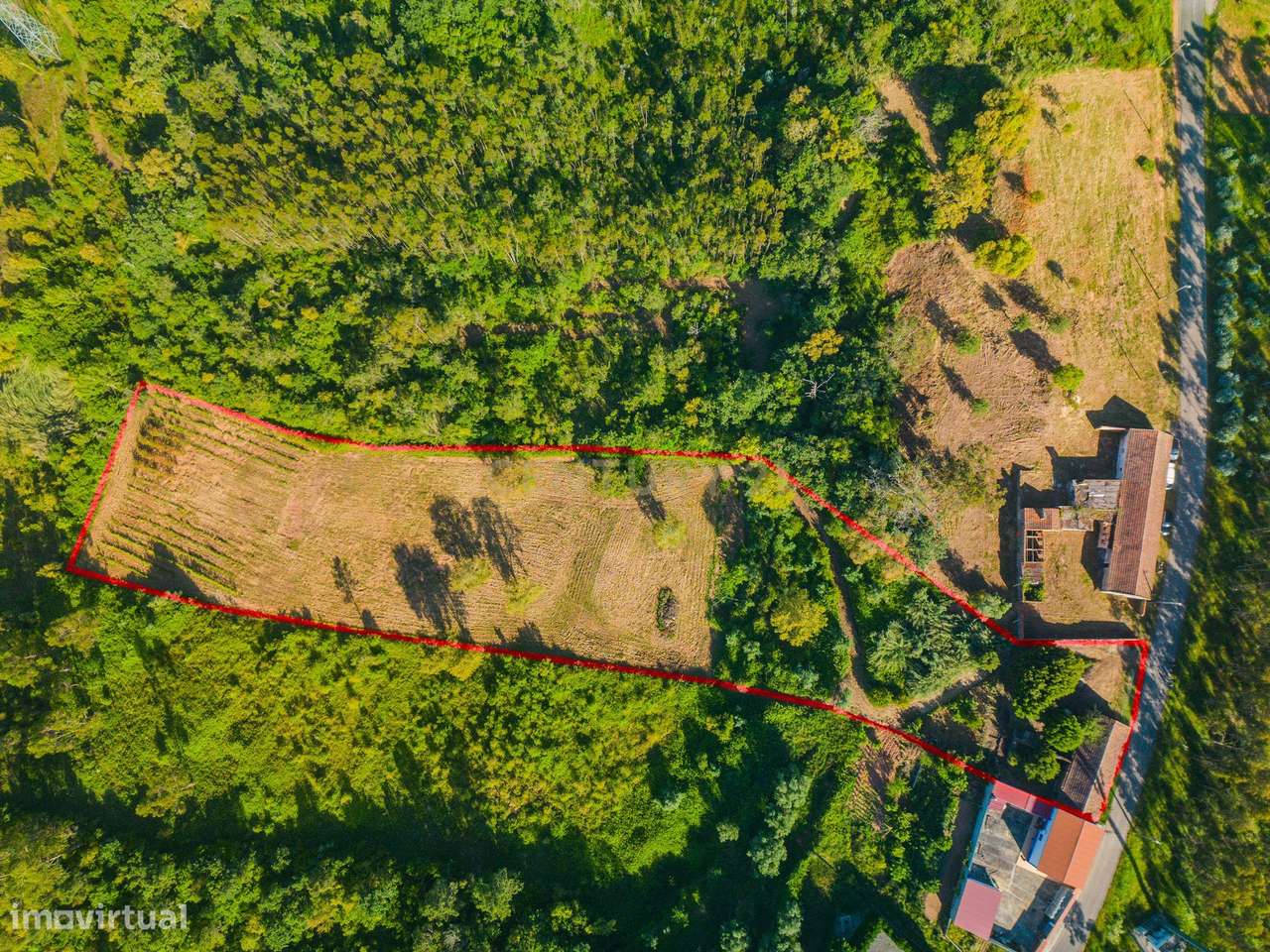 Armazém e Terreno rústico | Vidais | Caldas da Rainha - Grande imagem: 5/14