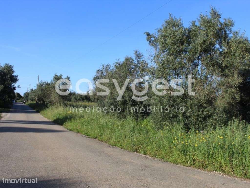 Terrenos com 10720 m2 na localidade Grou freguesia da Asseiceira - Grande imagem: 4/16