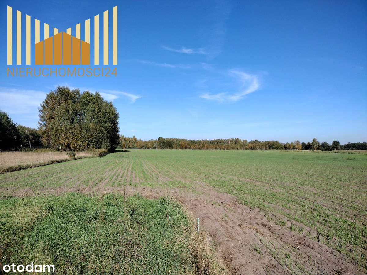 Atrakcyjna działka 30 min od Warszawy - Pełny obrazek: 5/5