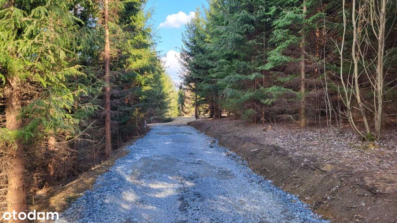 Dom, 150 m, Koniaków - DUŻA DZIAŁKA!-15