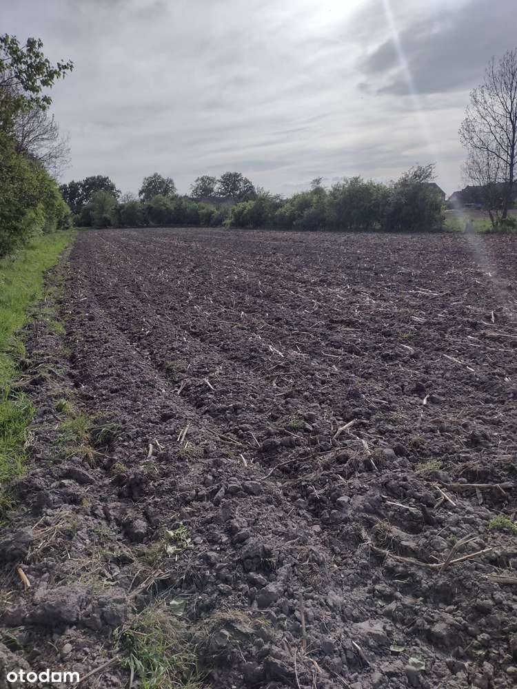 Dom z dużą działką obok Oławy.-10