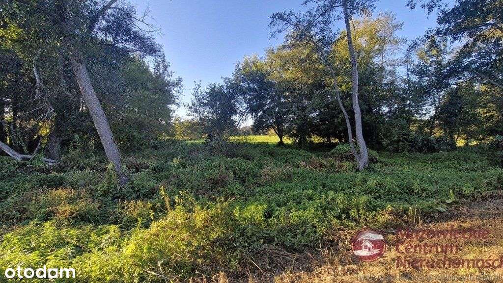 Działka budowlana w II linii zabudowy - Wilków Pol - Pełny obrazek: 4/5