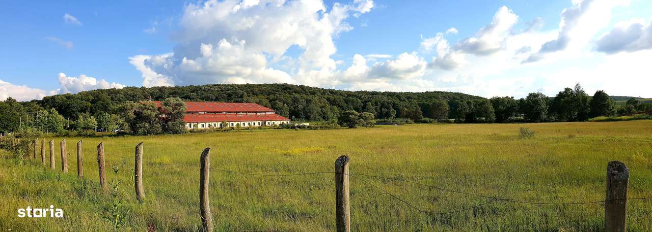 Destinație mixtă (restaurant, showroom, manej) – Herneacova - Imagine principală: 2/8