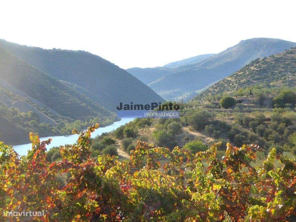 Propriedade com 5.100 oliveiras, 52ha, Barca DAlva. Portugal, Douro... - Grande imagem: 2/9