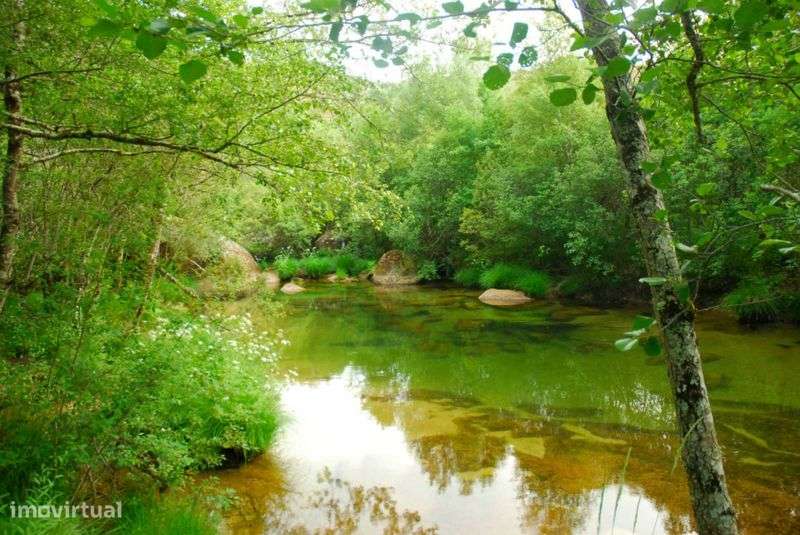Casa rústica em pedra P.N.P.Gerês - Grande imagem: 5/5