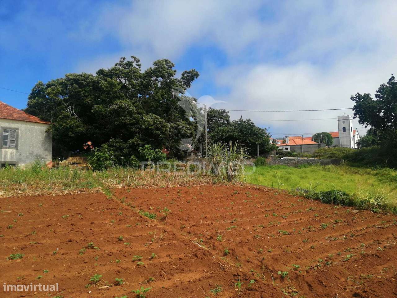 QUINTA CENTENÁRIA NA PONTA DO PARGO – OPORTUNIDADE ÚNICA JUNTO AO F... - Grande imagem: 4/18