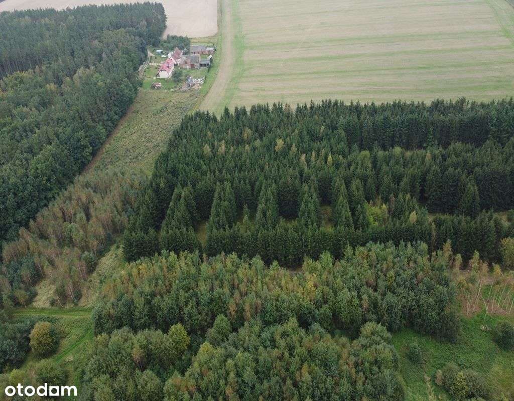 Obniżka!Działka z potencjałem - dawnym szlakiem Wikingów.-17
