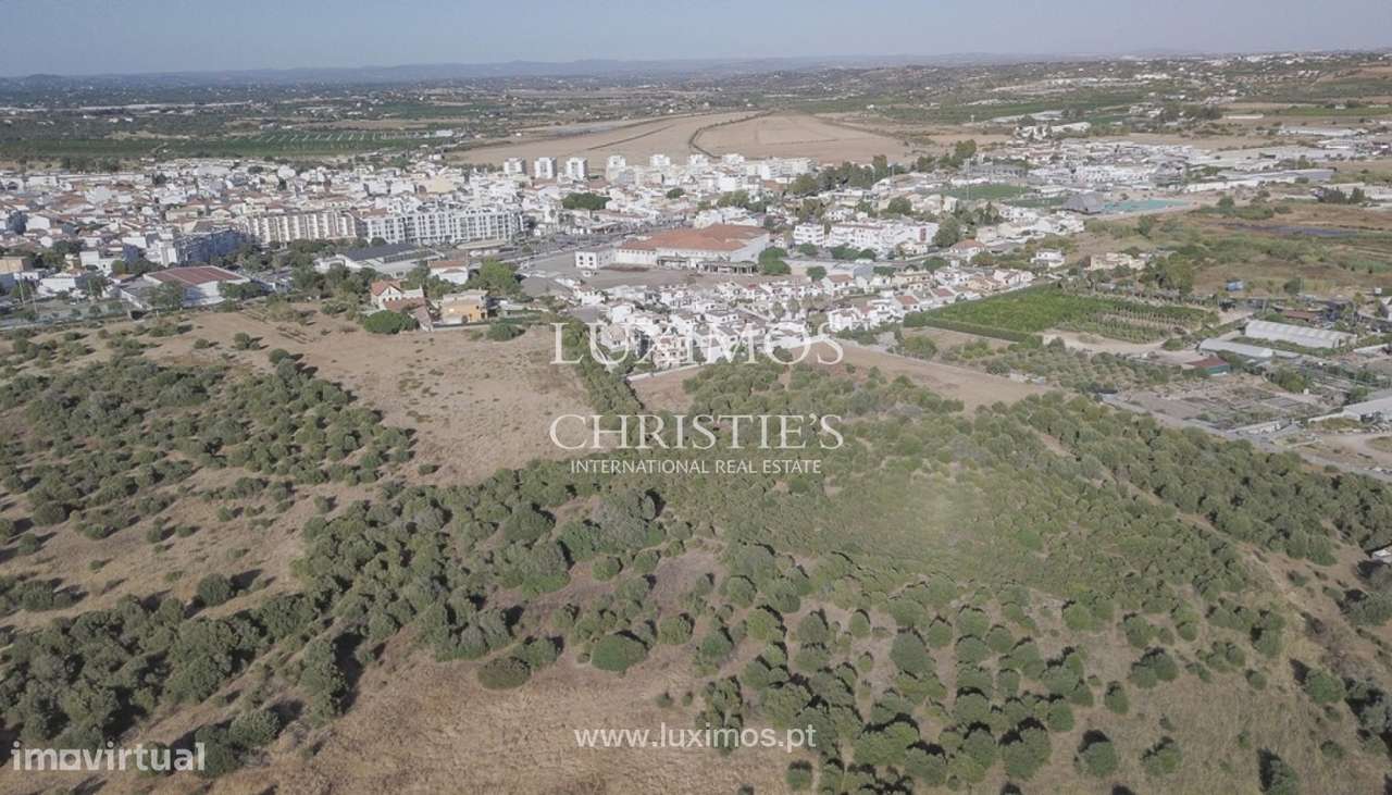 2 Lotes de Terreno para venda em Lagoa, Algarve - Grande imagem: 3/6