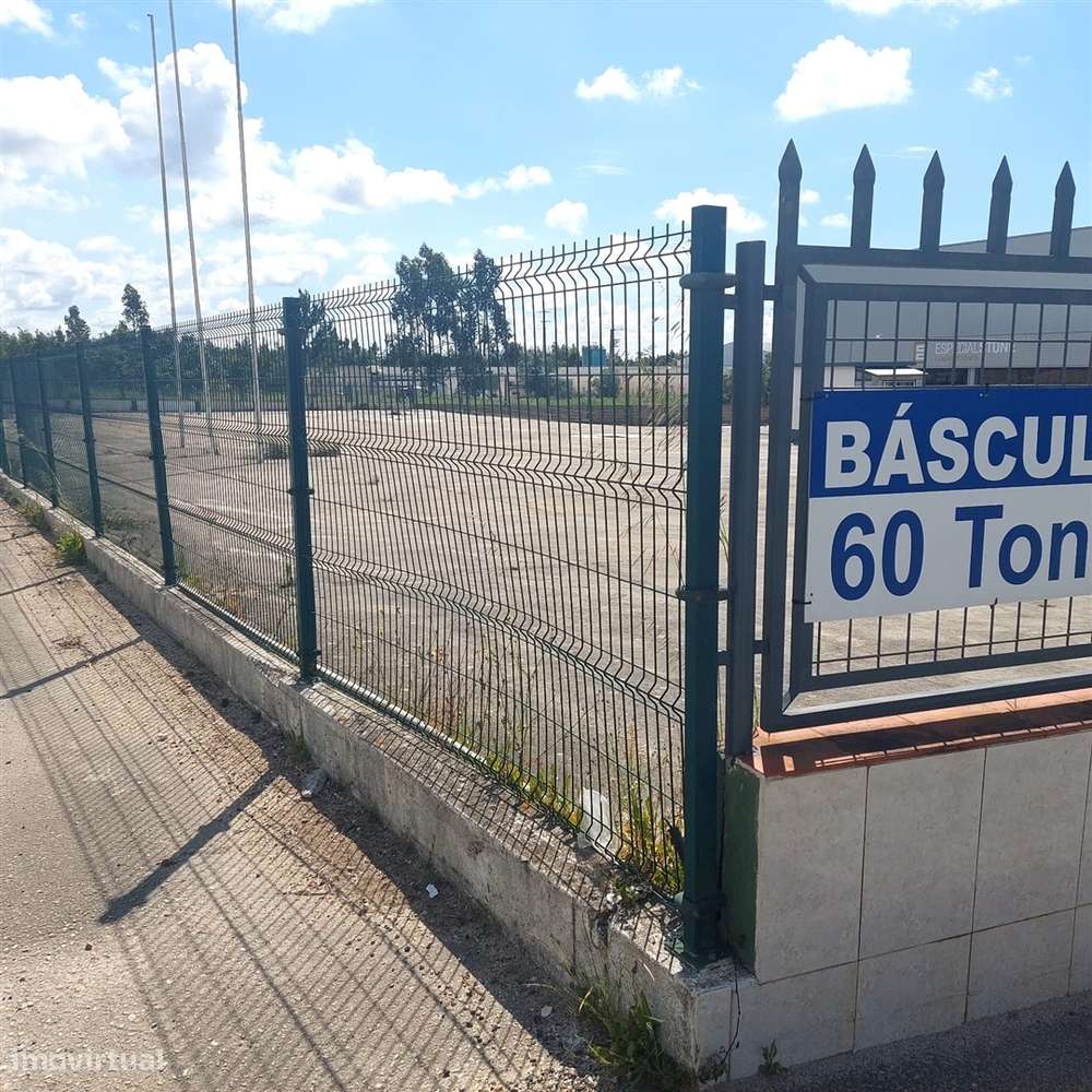 ANG1353 - Terreno para Arrendamento em Ataija de Cima, Aljubarrota - Grande imagem: 4/5