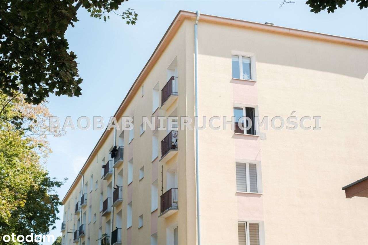 Odyńca 71 do sprzedania-18