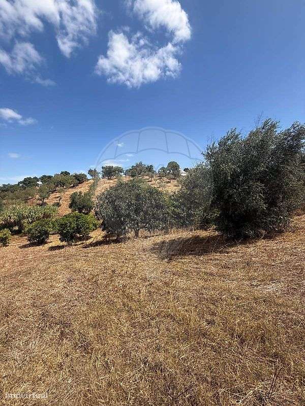 Terreno  para venda - Grande imagem: 2/9