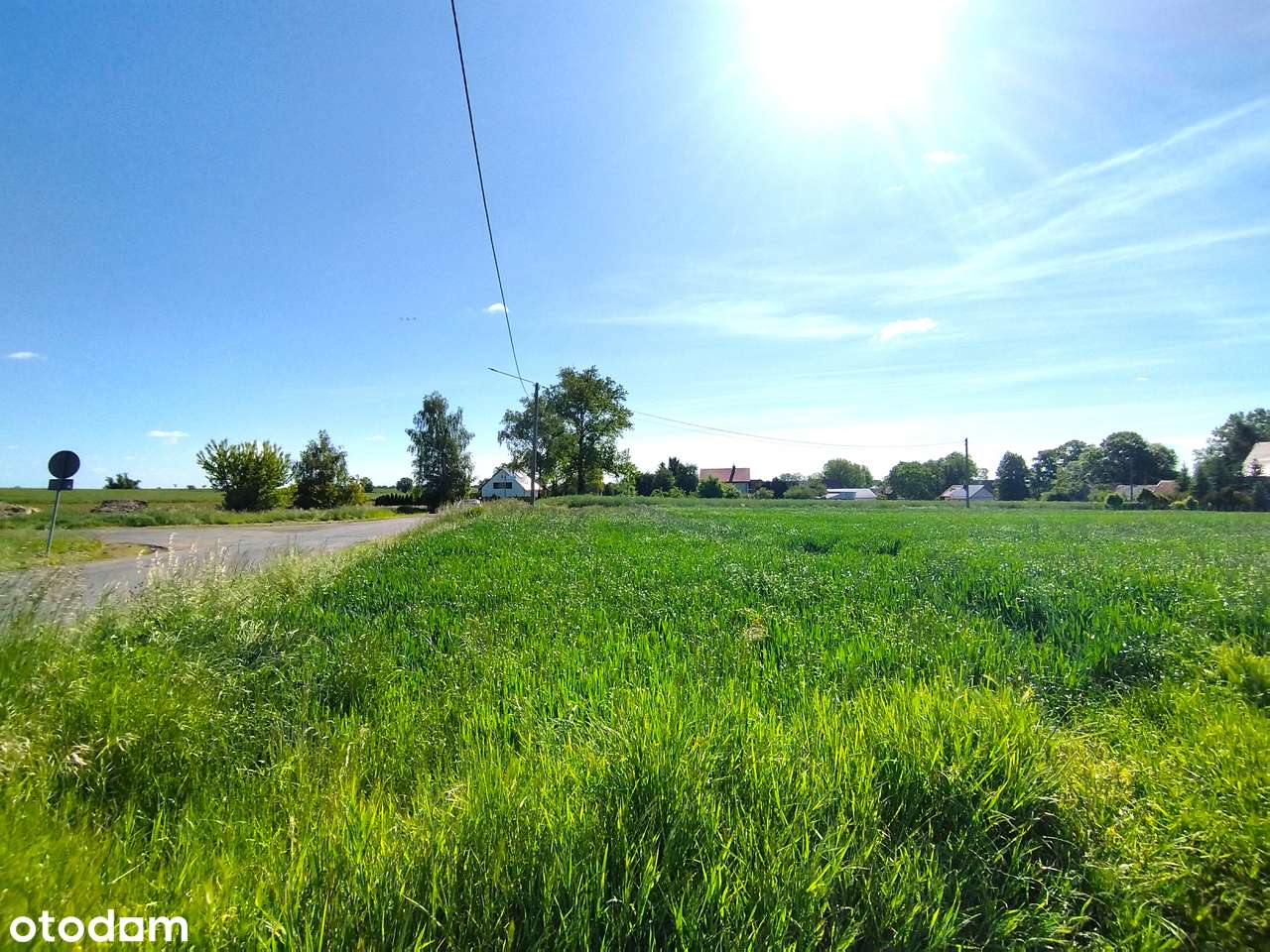 Świetna DZIAŁKA media*przy asfalcie*3 km Chojnów*GOŁOCIN - Pełny obrazek: 4/17