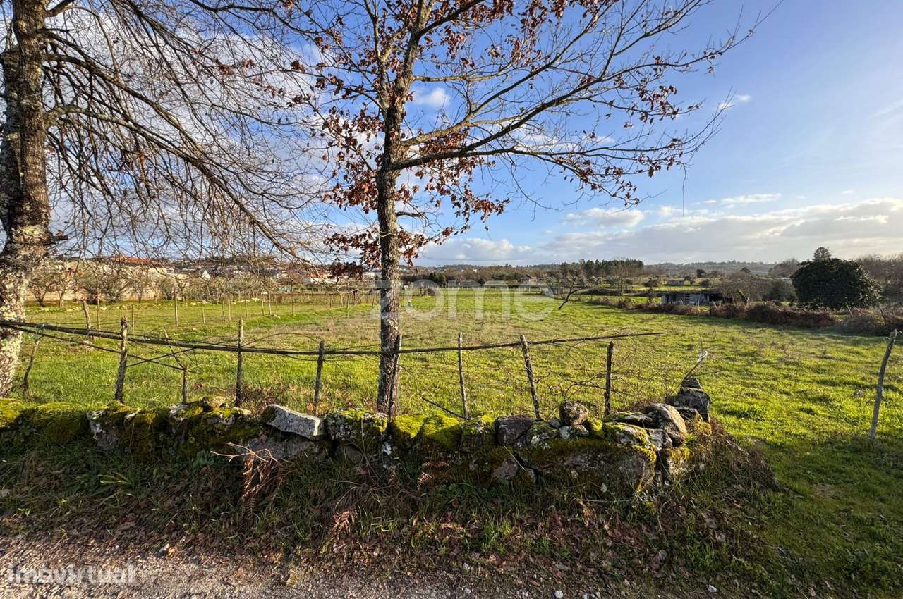 Terreno, 3 000 m², Cunha Baixa - Grande imagem: 2/15