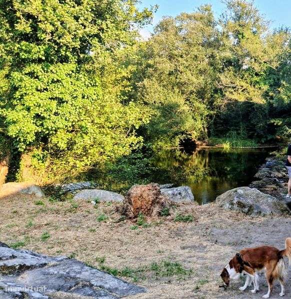 Vendo terreno com viabilidade de construção de moradia - Grande imagem: 2/6