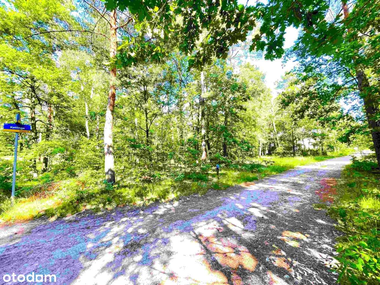 Działka Izabelin B - 2213 m2, narożna - Pełny obrazek: 3/4