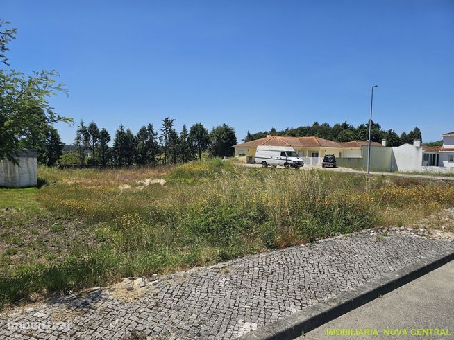 Lote de Terreno  Venda em Ançã,Cantanhede-2