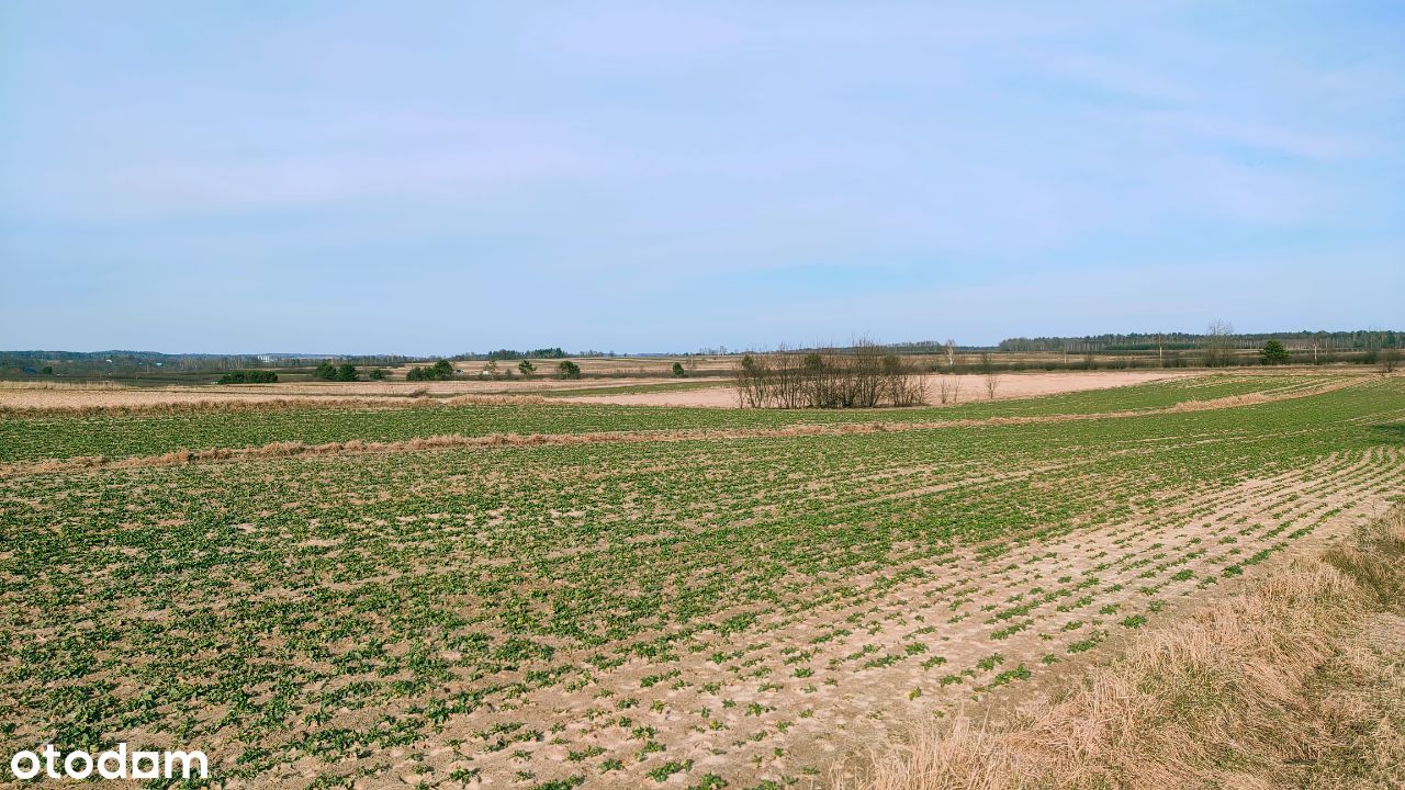 Kolonia Zamek - działki pod budowe