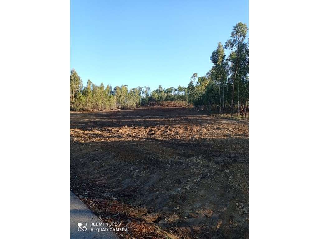 Terreno Rústico com 10.760 m² e Viabilidade de Construção de Moradi... - Grande imagem: 5/8