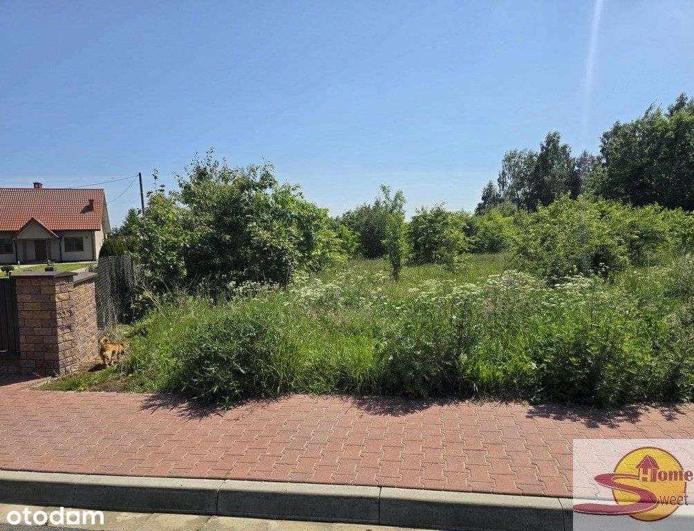 Działka rolno- budowlana Szydłówek - Pełny obrazek: 5/7