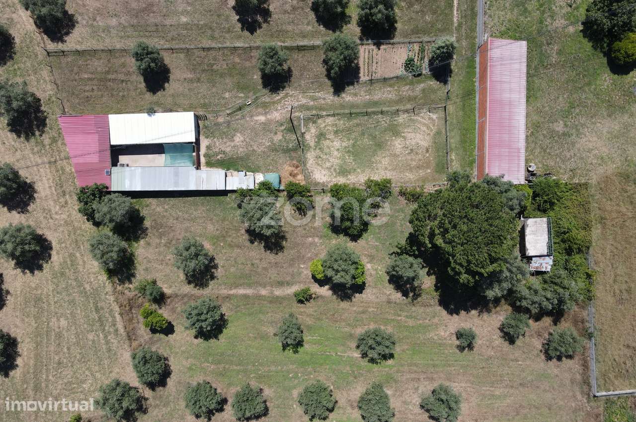 Terreno São Facundo - Coimbra - Grande imagem: 2/17