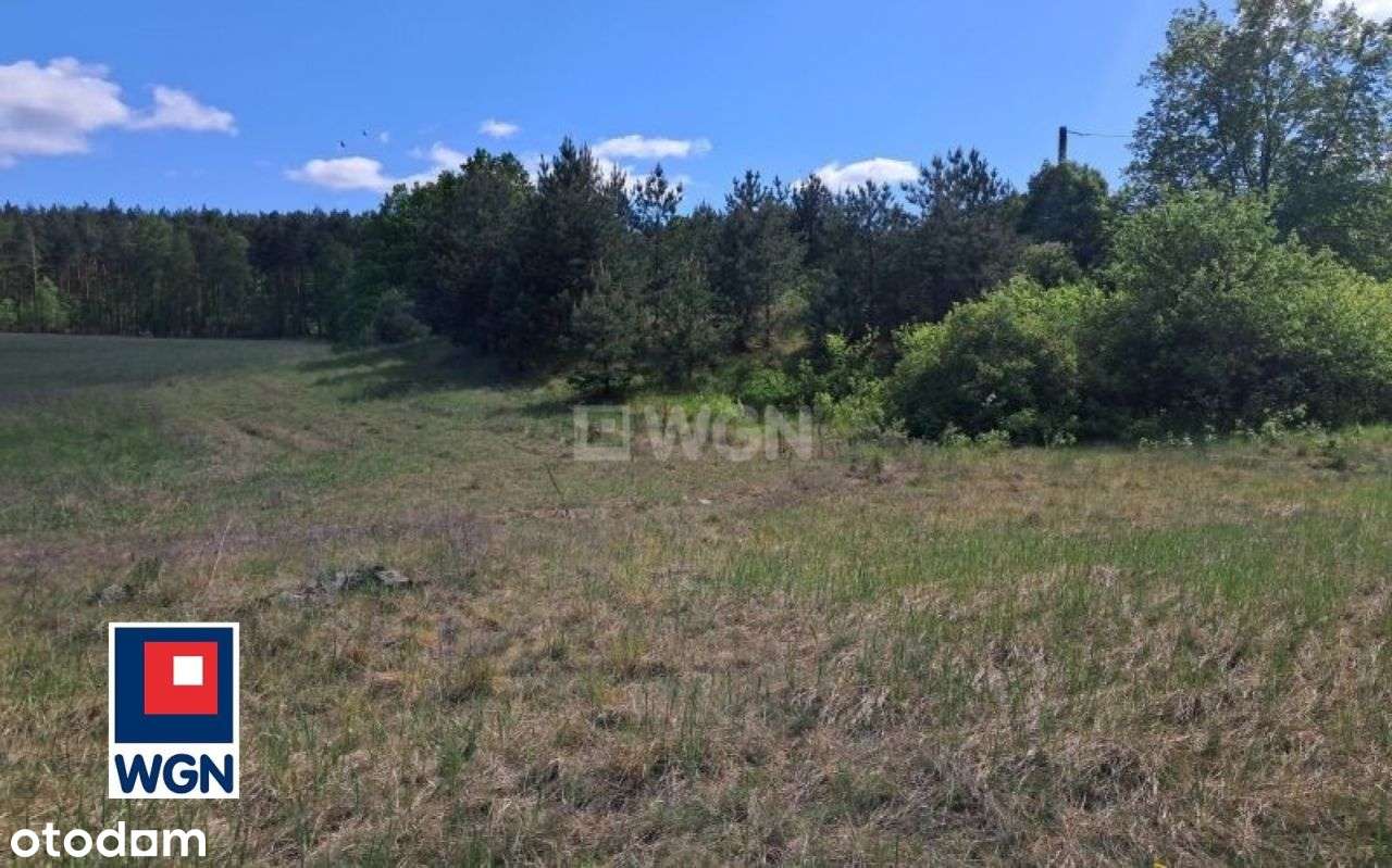 W pobliżu doliny Drwęcy - Pełny obrazek: 5/13