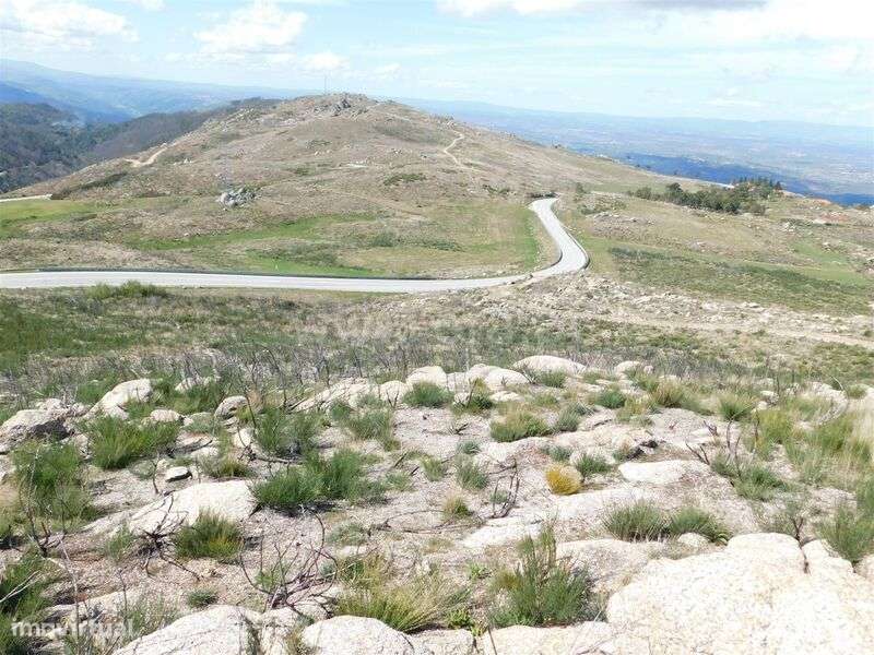 Terreno / Seia, Seia - Grande imagem: 4/7