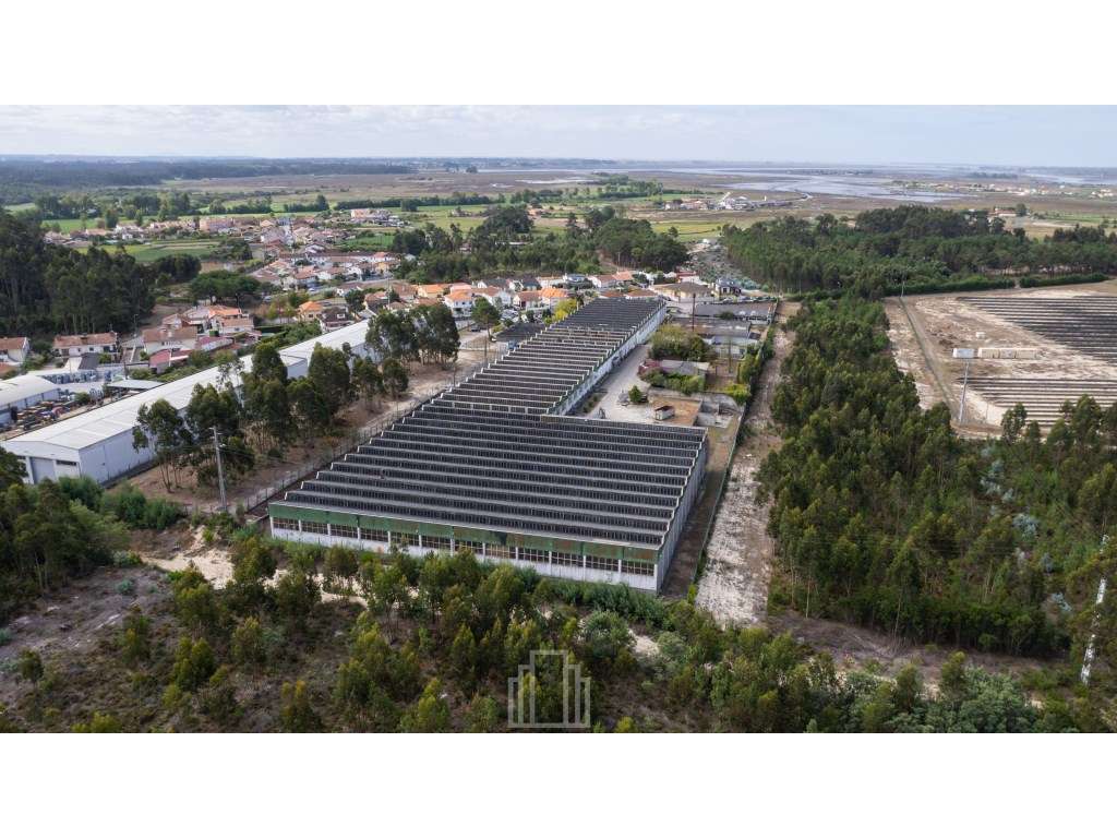 Armazém Industrial - Ovar - Grande imagem: 3/14