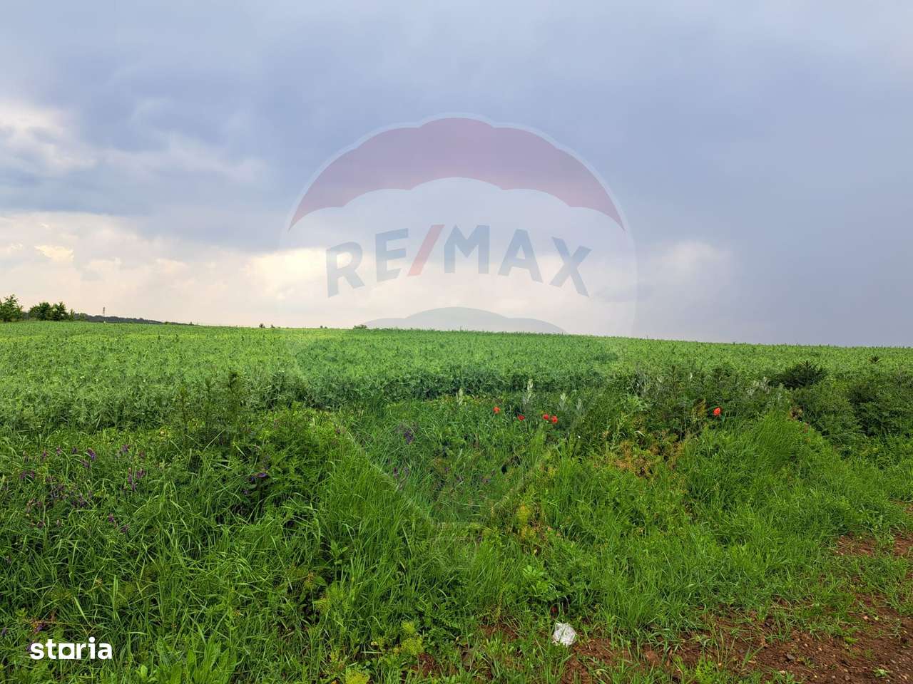 Teren Ciolpani 15.000 mp oportunitate posibilitate lotizare 5000 mp - Imagine principală: 4/11