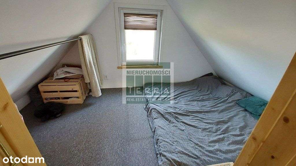 Duża działka + domek letniskowy w Bronkowie-10