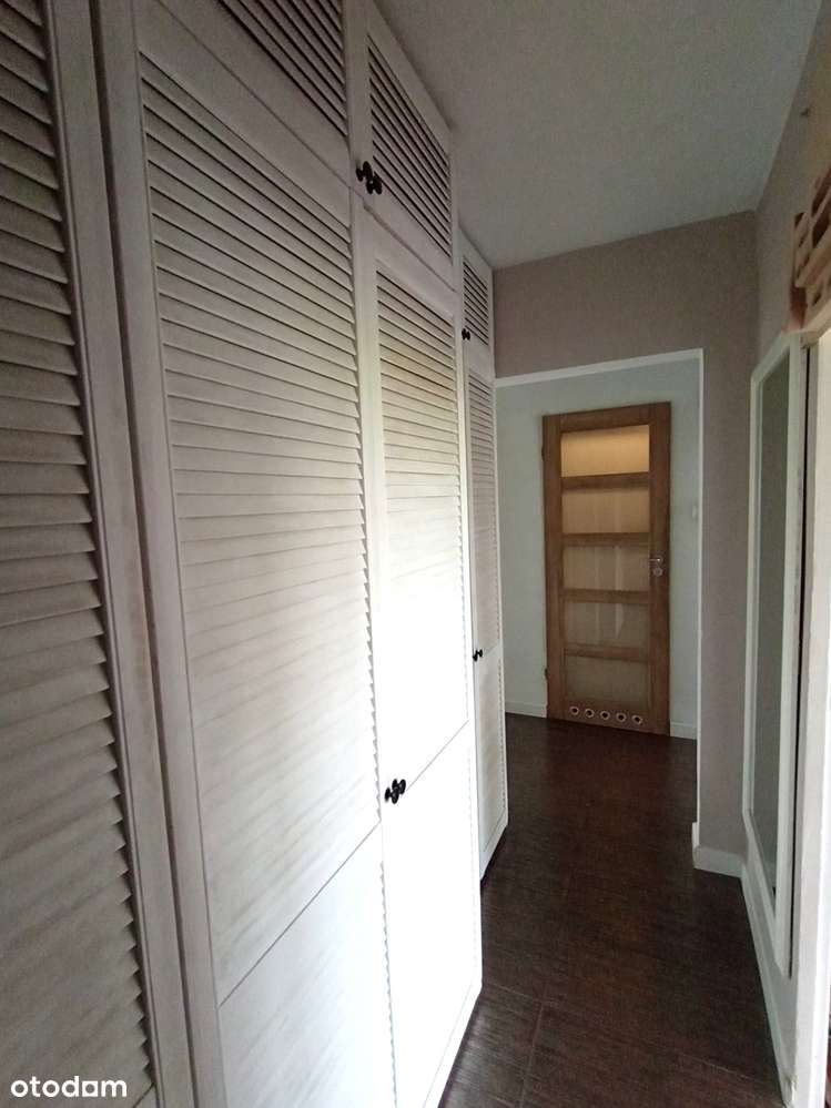 M3/ Po Remoncie/2piętro/ ok Jagiellończyków - Pełny obrazek: 5/6