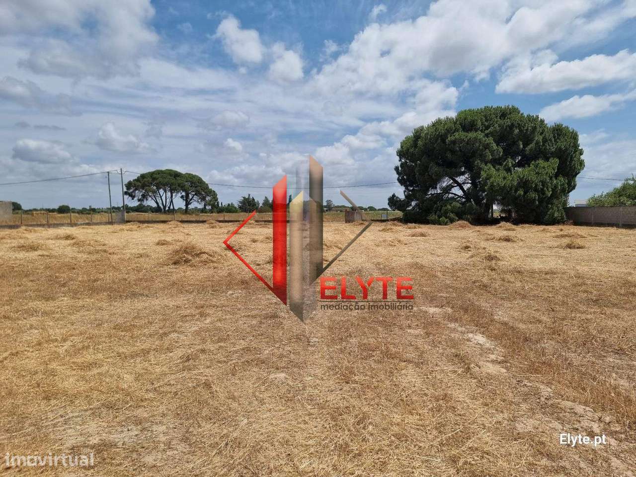 Terreno Urbano de 2500 m² em Benavente. - Grande imagem: 5/12