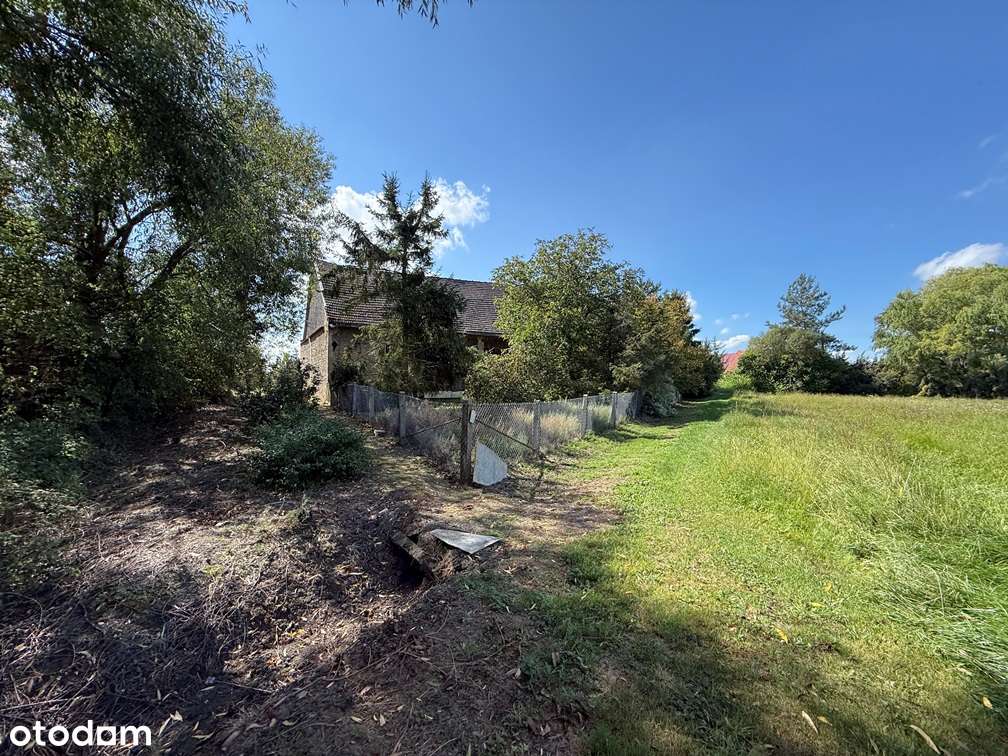 Działka w Przydrożu Wielkim-6