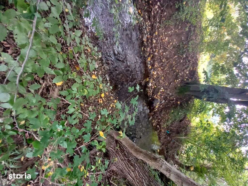 Teren Transilvania Ape Termale și Spa .Fārā TVA. - Imagine principală: 4/9