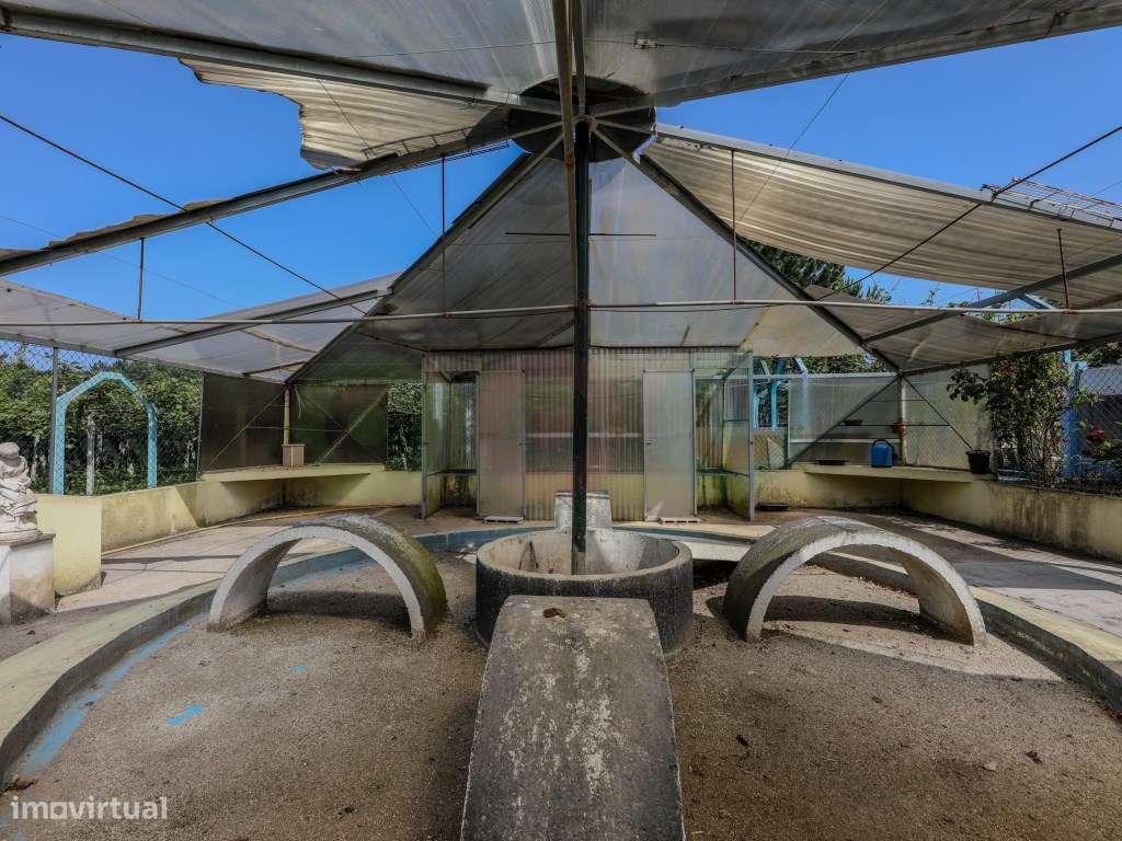 Quintinha em Famalicão-59