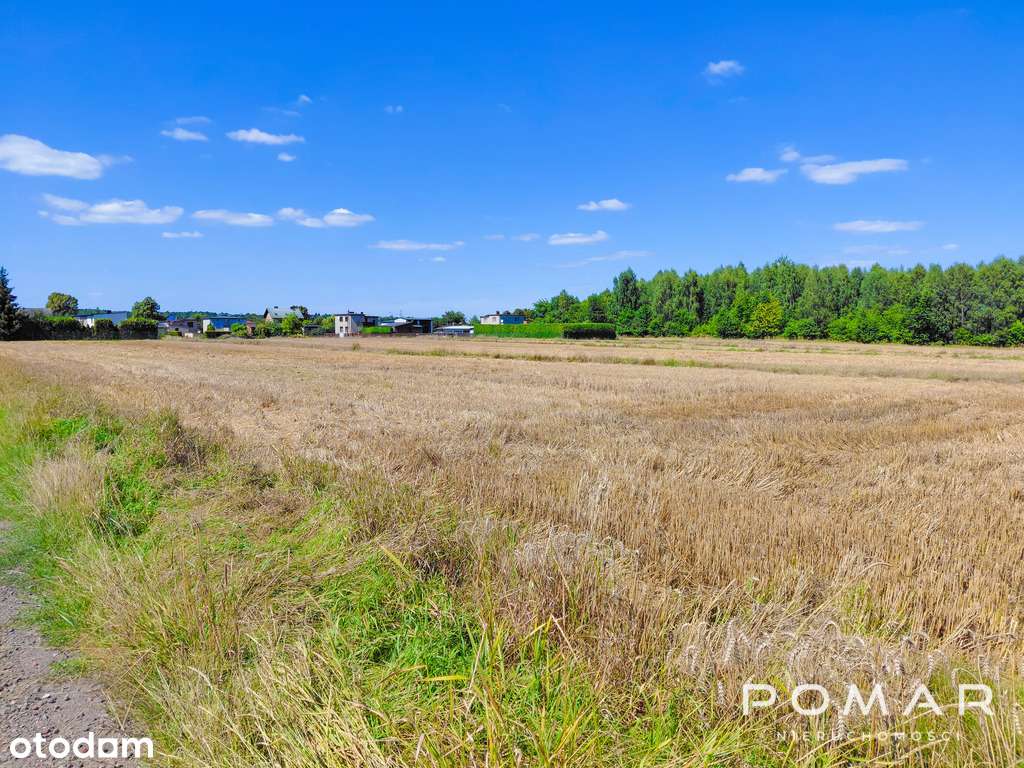 ★ Tylko u nas! Piękna działka - Książenice - Pełny obrazek: 2/8