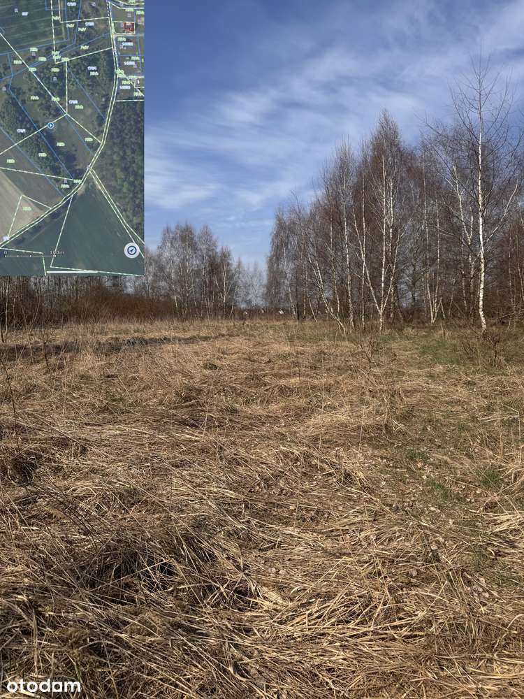 Działka w Grabowie - Pełny obrazek: 4/8