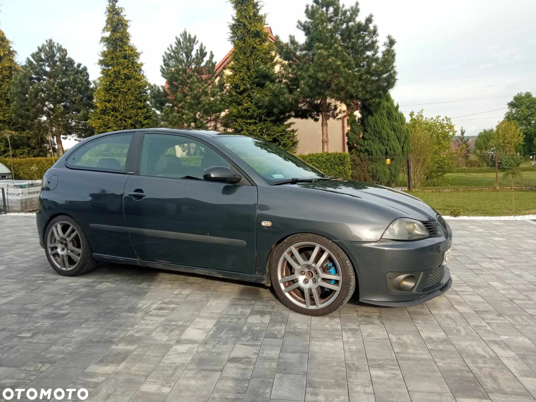 Seat Ibiza 1.9 TDI Cupra - 11