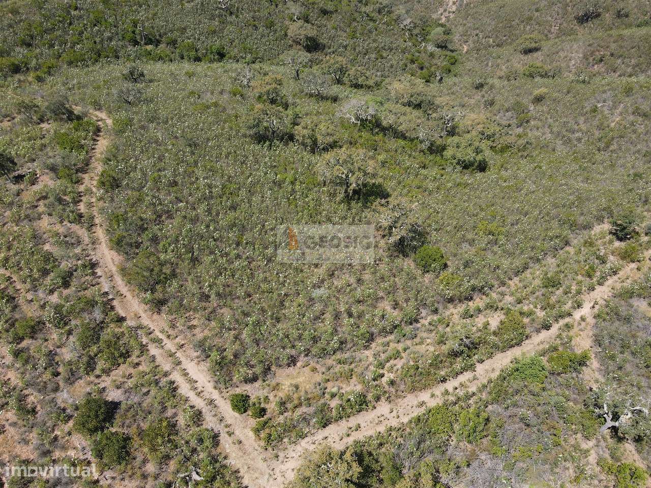 Terreno  Venda em São Barnabé,Almodôvar - Grande imagem: 2/7