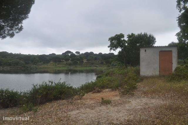Herdade, para venda, Ponte de Sor - Foros de Arrão-7