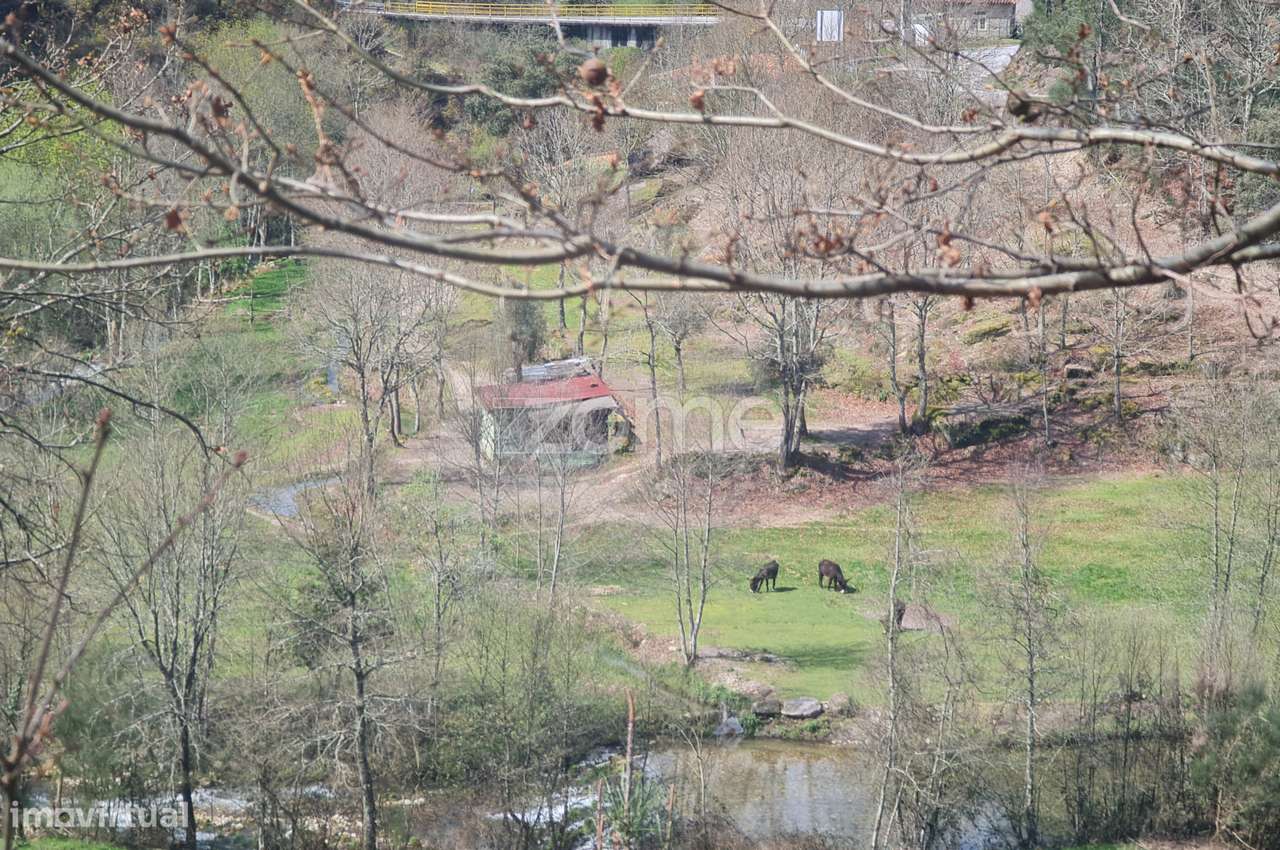 Terreno - Grande imagem: 5/7