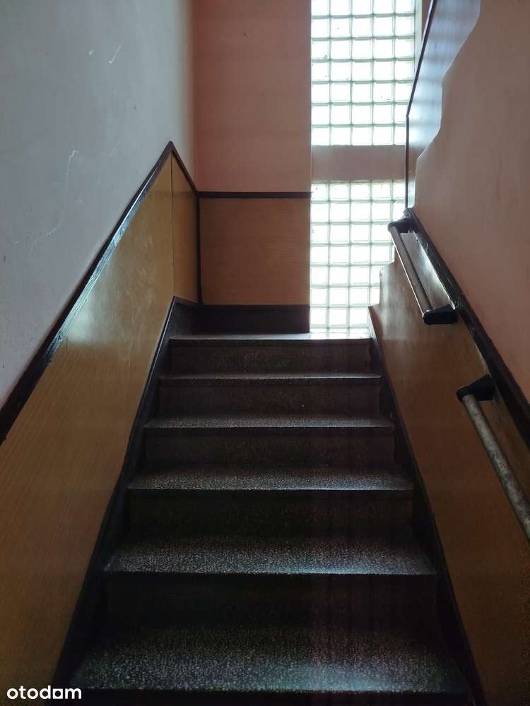 Dom wolnostojący/duża działka/blisko Mogilna-8