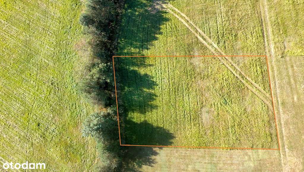 Marzenia o domu w Czernej – 95 zł/m² - Pełny obrazek: 4/20