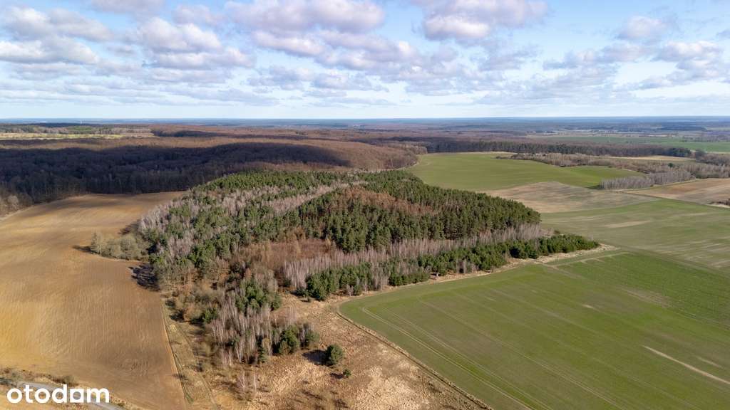 Ostatnia działka przy drodze Stare Czarnowo.-6